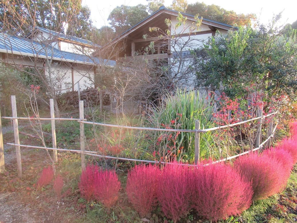 syaoku